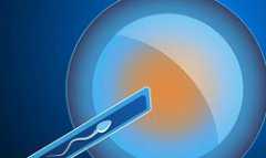 潍坊供卵渠道 2023潍坊市人民医院试管婴儿费用一览，附试管生男孩省钱攻略